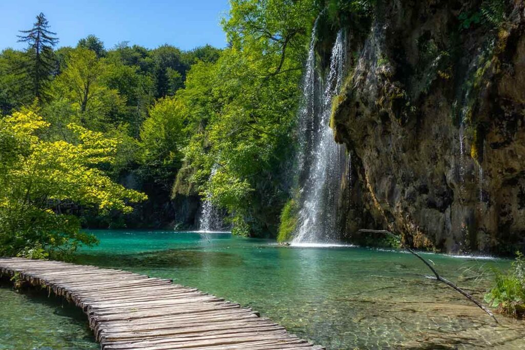 Bosques: Croacia