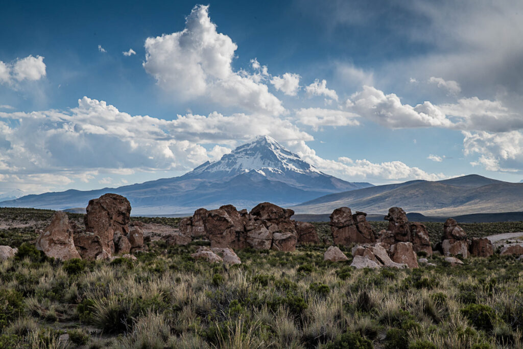 Sajama