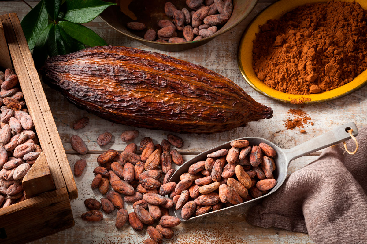 Casa Rivera Del Cacao