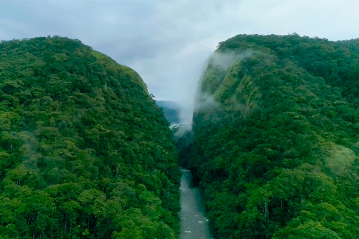 Caquetá
