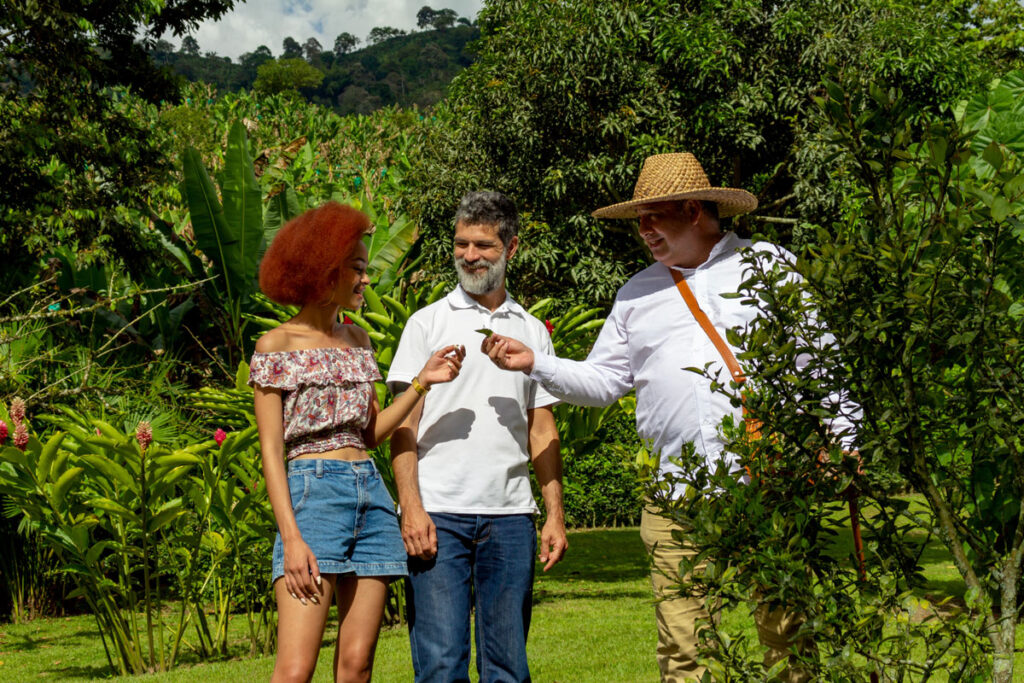 Casa Rivera Del Cacao