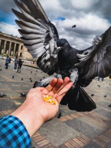 Colombia, Luis Alejandro Orjuela, Here, eat some, HUAWEI P30
