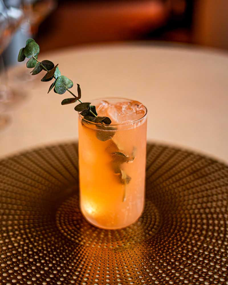 cocteles hotel w