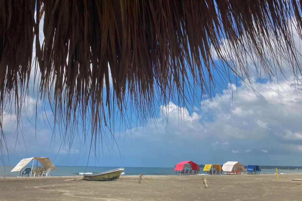 Playa La Boquilla, manglares