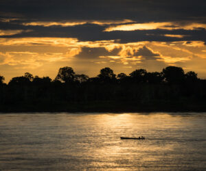 Amazonas