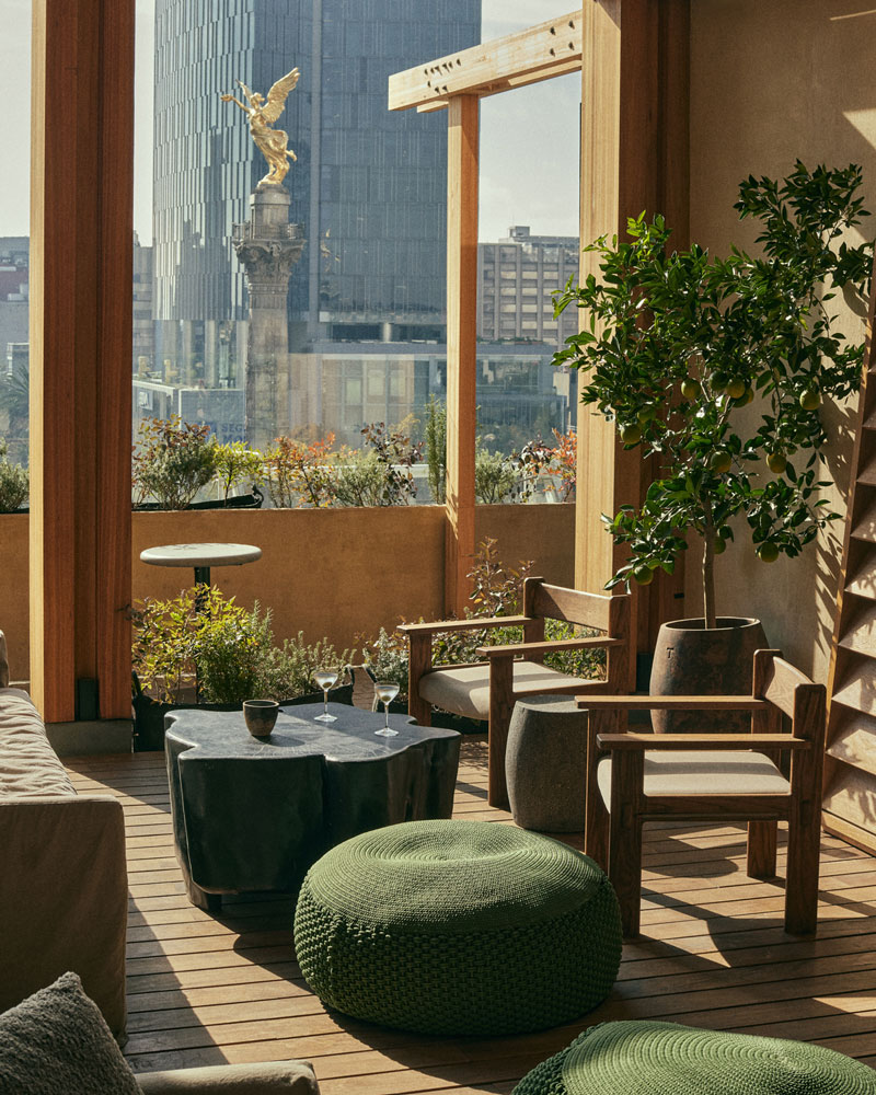 salazar restaurante