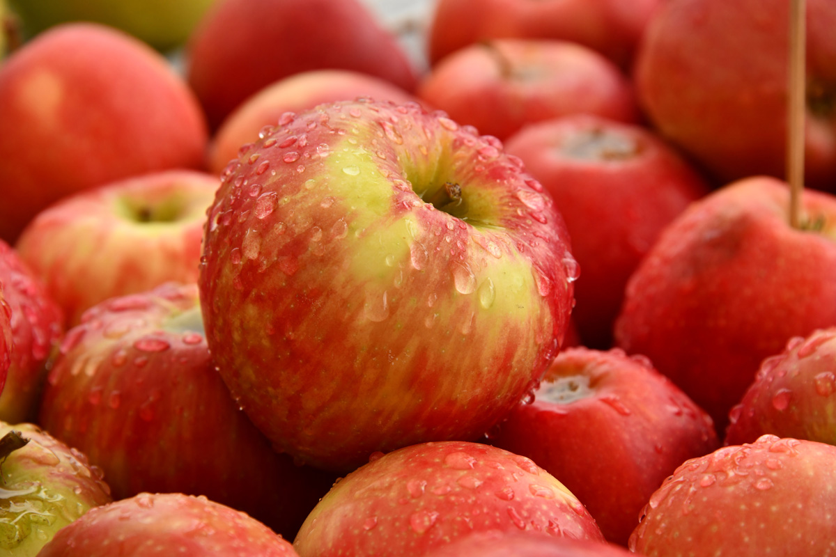 vinagre de manzana