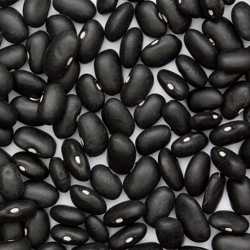 frijol negro