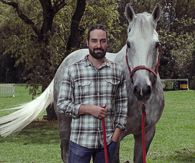 caballos2_800x669