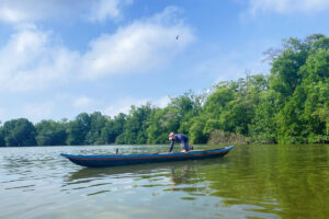 canoa