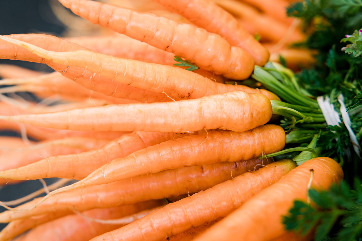carrot