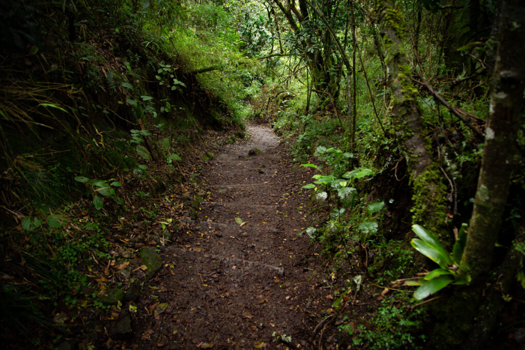 sendero la Aguadora, Bogotá para turistear