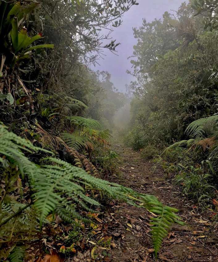 Laguna El Cerro La Petaca, planes en Cundinamarca