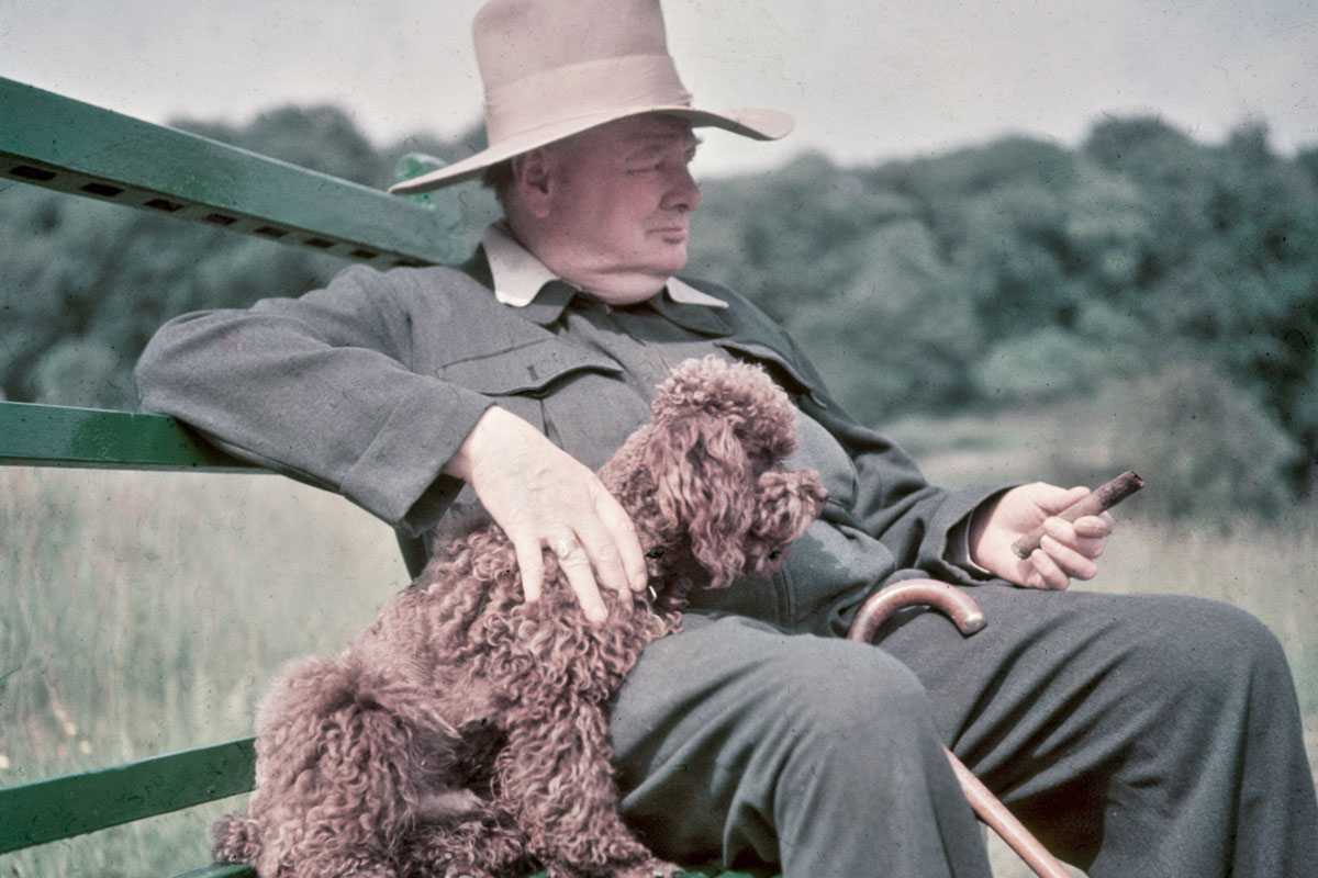 perro_churchill_winston