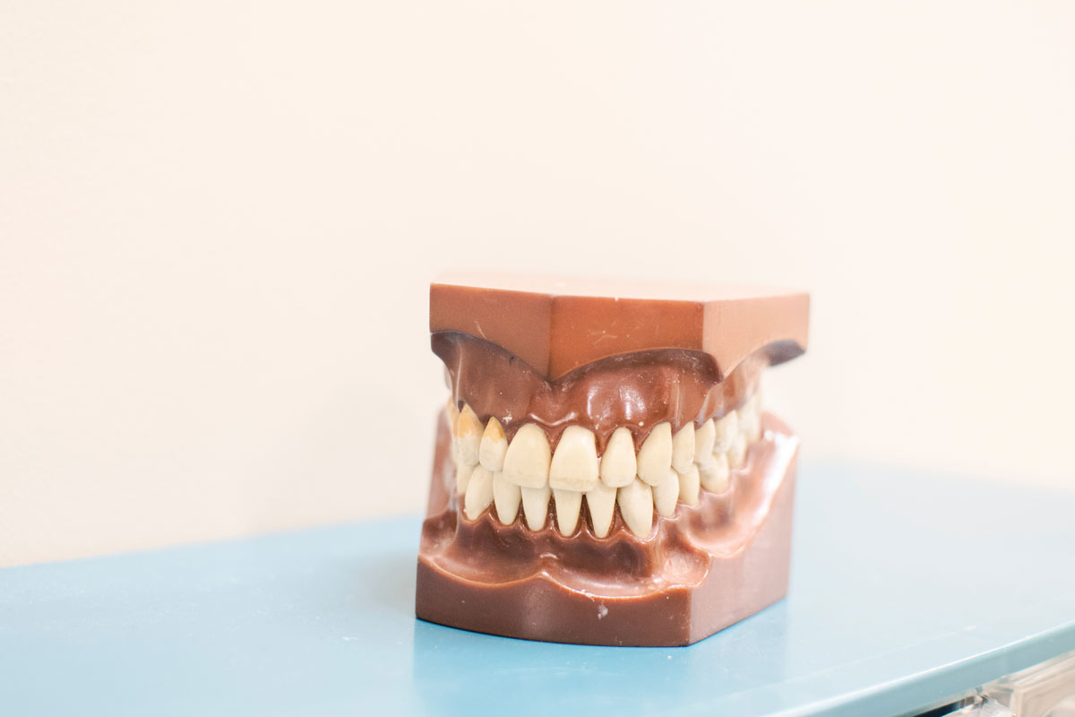 Dentadura