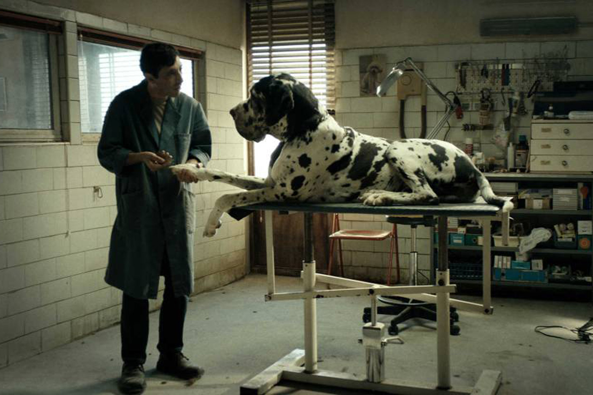 Dogman película italiana