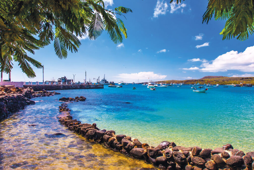 Galapagos