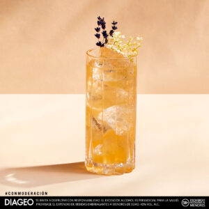 Johnnie Ginger Party
