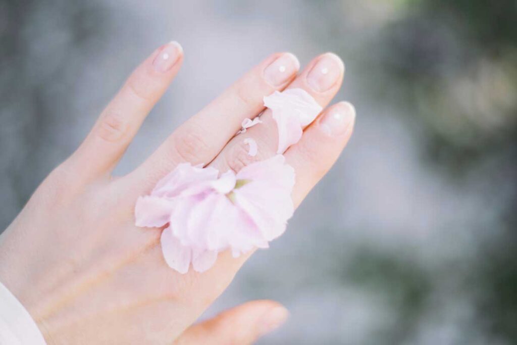 Recetas con pétalos de rosa