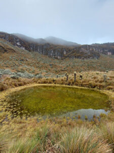 Laguna verde