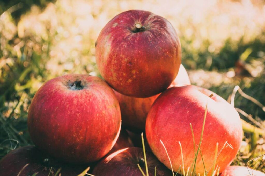 manzanas rojas