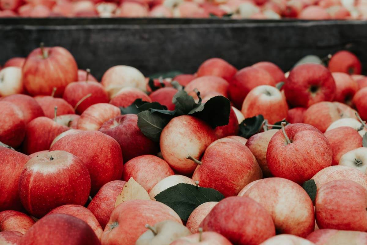 Nuevas manzanas