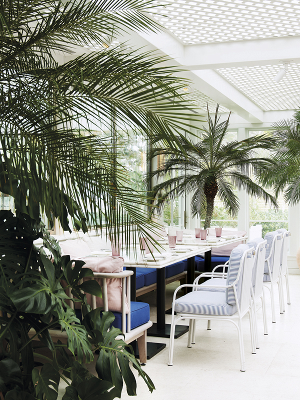 The Surf Club