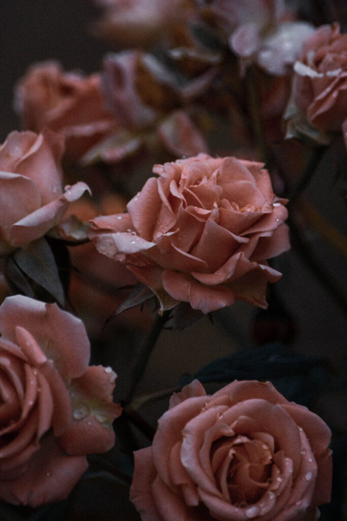 flores, poetas de la muerte