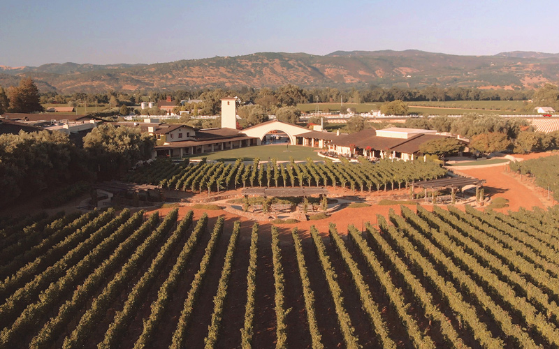 viñedos
