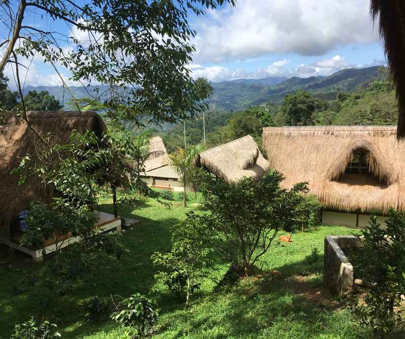hoteles de lujo con naturaleza, naturaleza, glamping, camping, lujo
