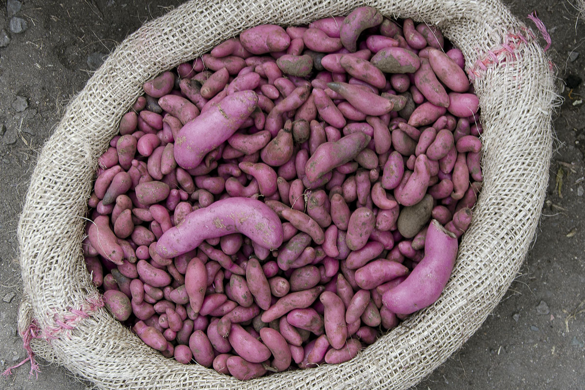 recetas del Cauca