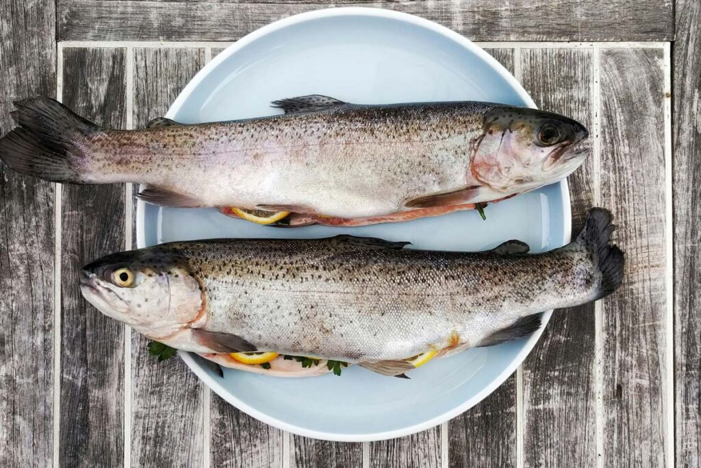 pescado fresco