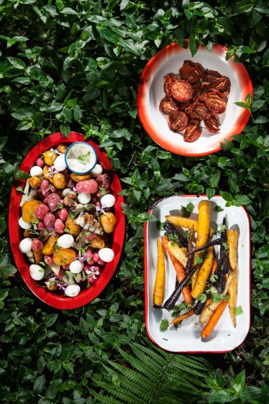 picnic4_600x900