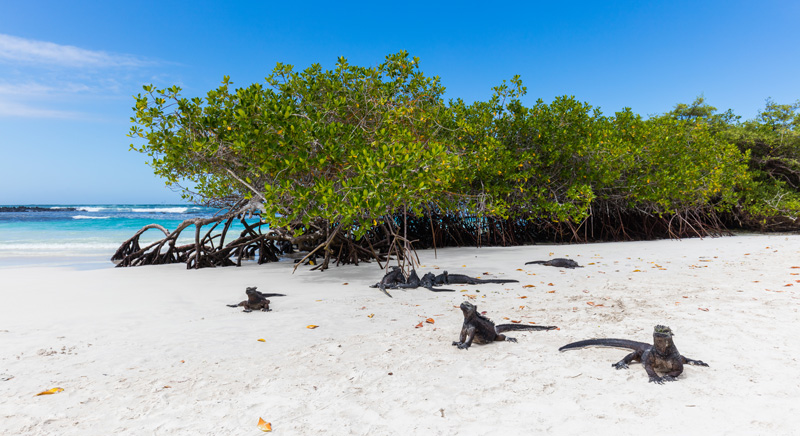 playasdivinas5_800x436