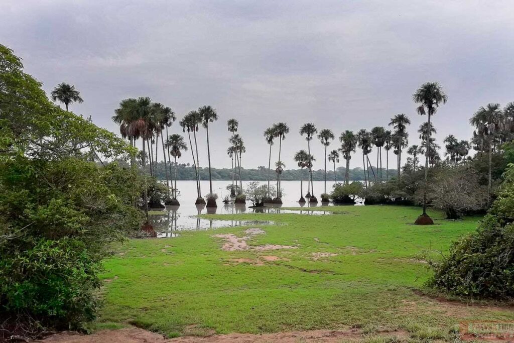 Casanare, Reserva Natural Palmarito, semana de receso,