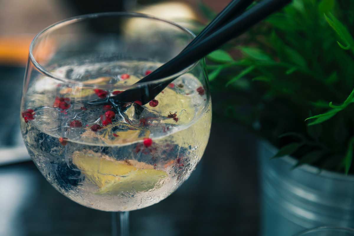 gin tonic
