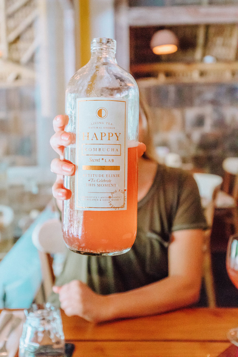 kombucha