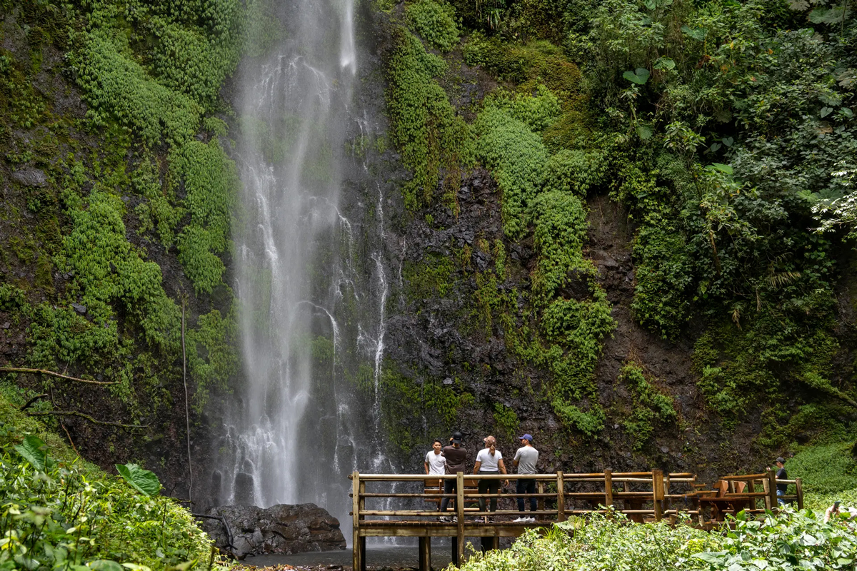 Pereira