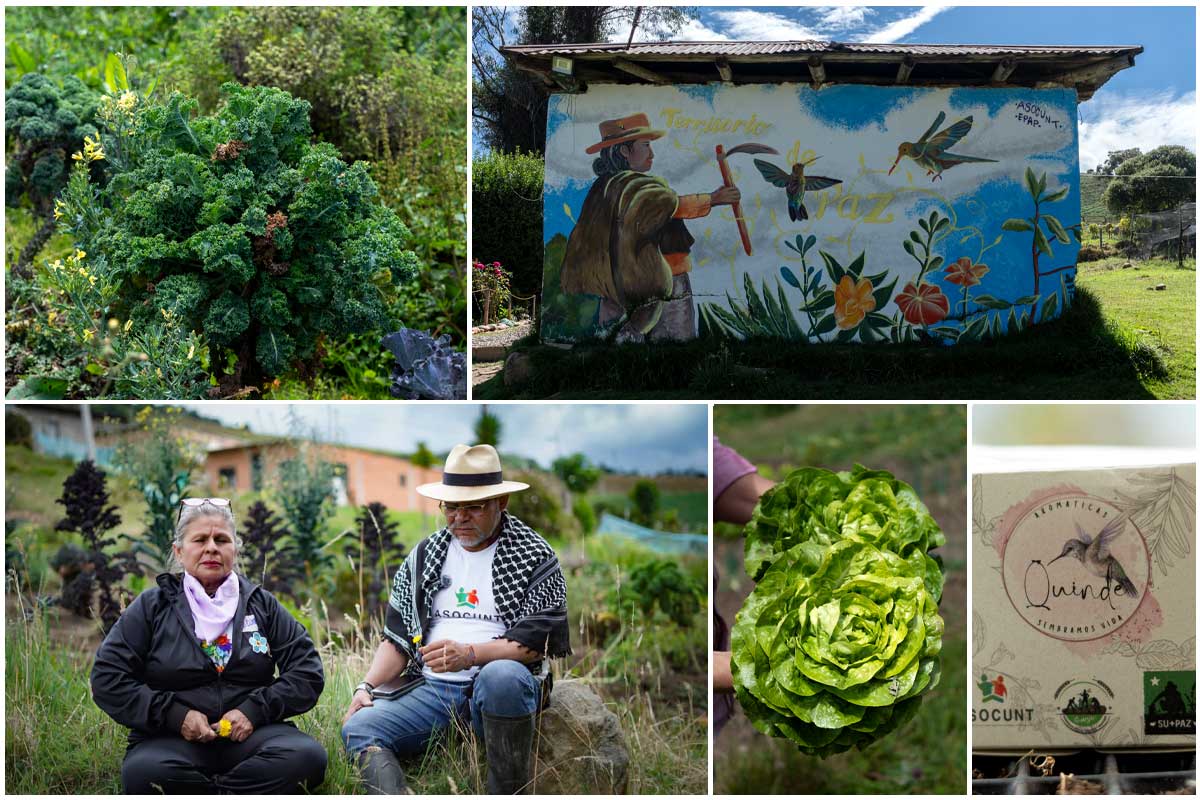 Usme, Granja Tibares