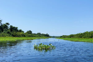 río frío