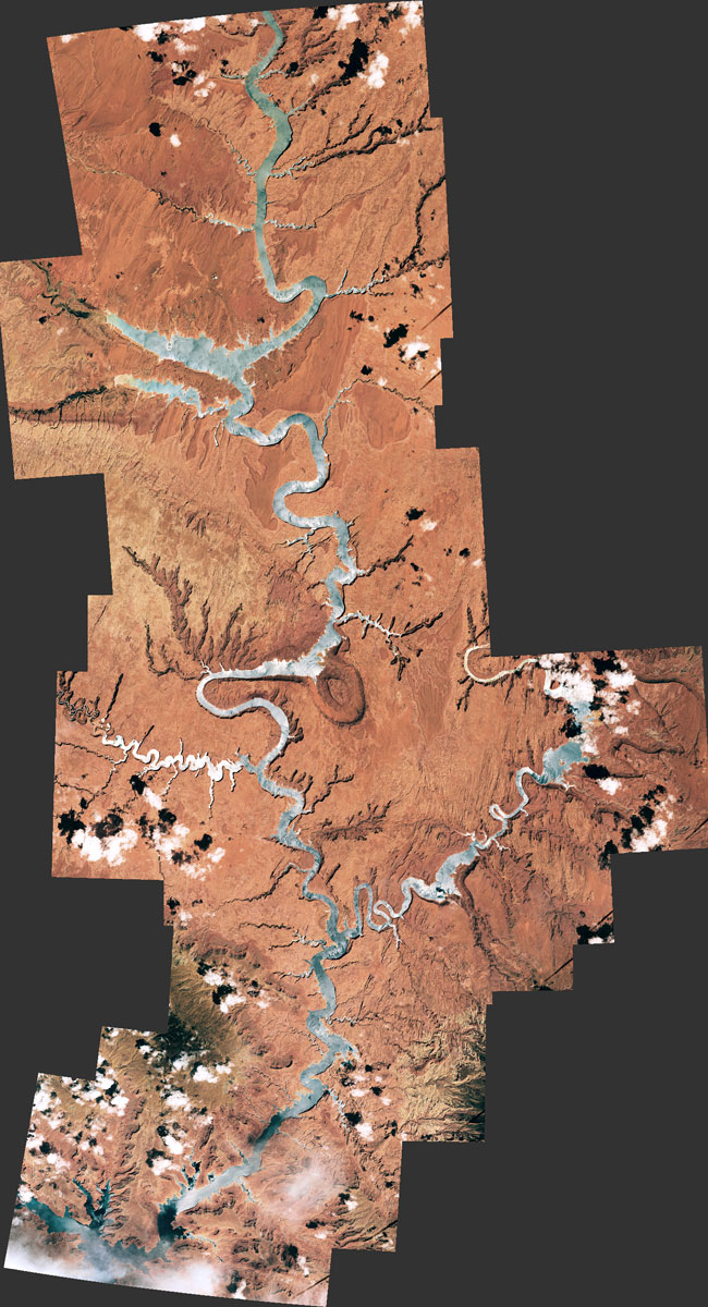 Powell