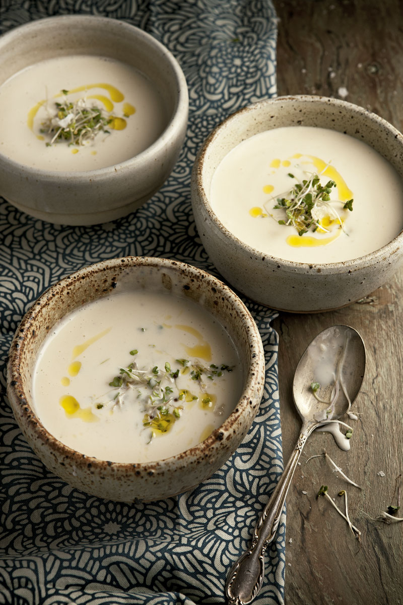 sopa