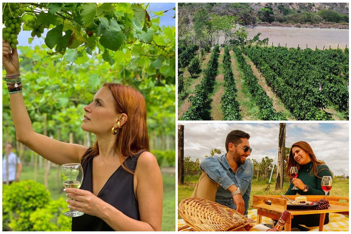 vinos en Colombia